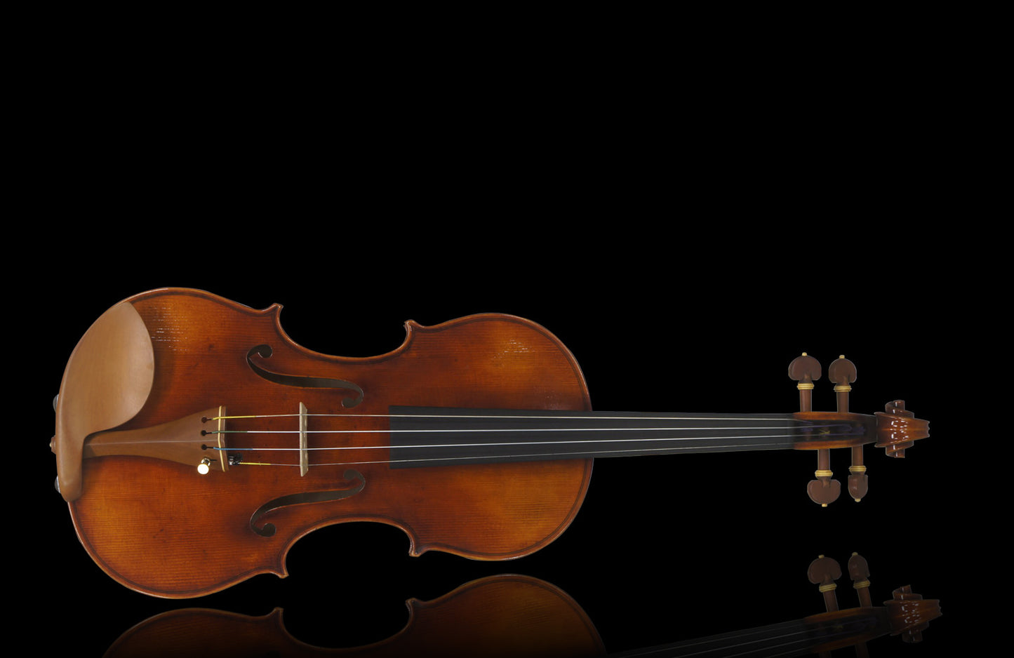 Ming Jiang Zhu Violin · Model 907